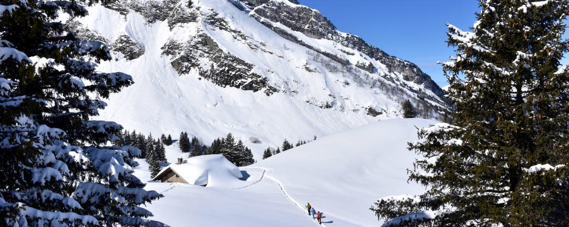 Temps suspendu loin au-dessus des bruits de la vallée...(photo : D.Delvaux)