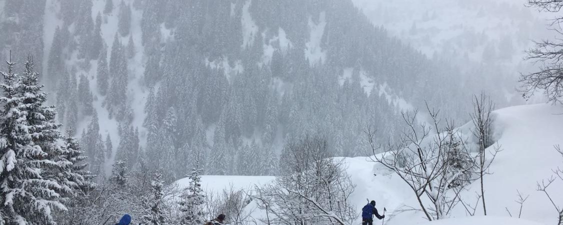 Dans le silence feutré d'une matinée neigeuse dans le Beaufortain...(photo : D.Delvaux)